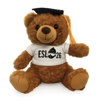 ESL26 Teddy Bear